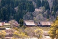 The Historic Villages of Shirakawago